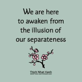 Illusion of Separateness